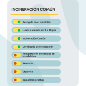 Incineración Común Sevilla