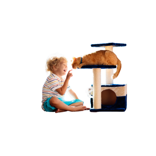 Niños eutanasia mascotas