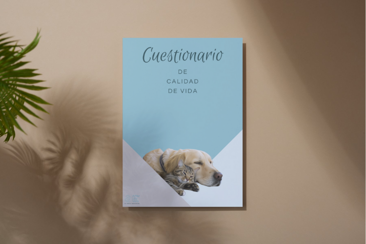Cuestionario calidad de vida