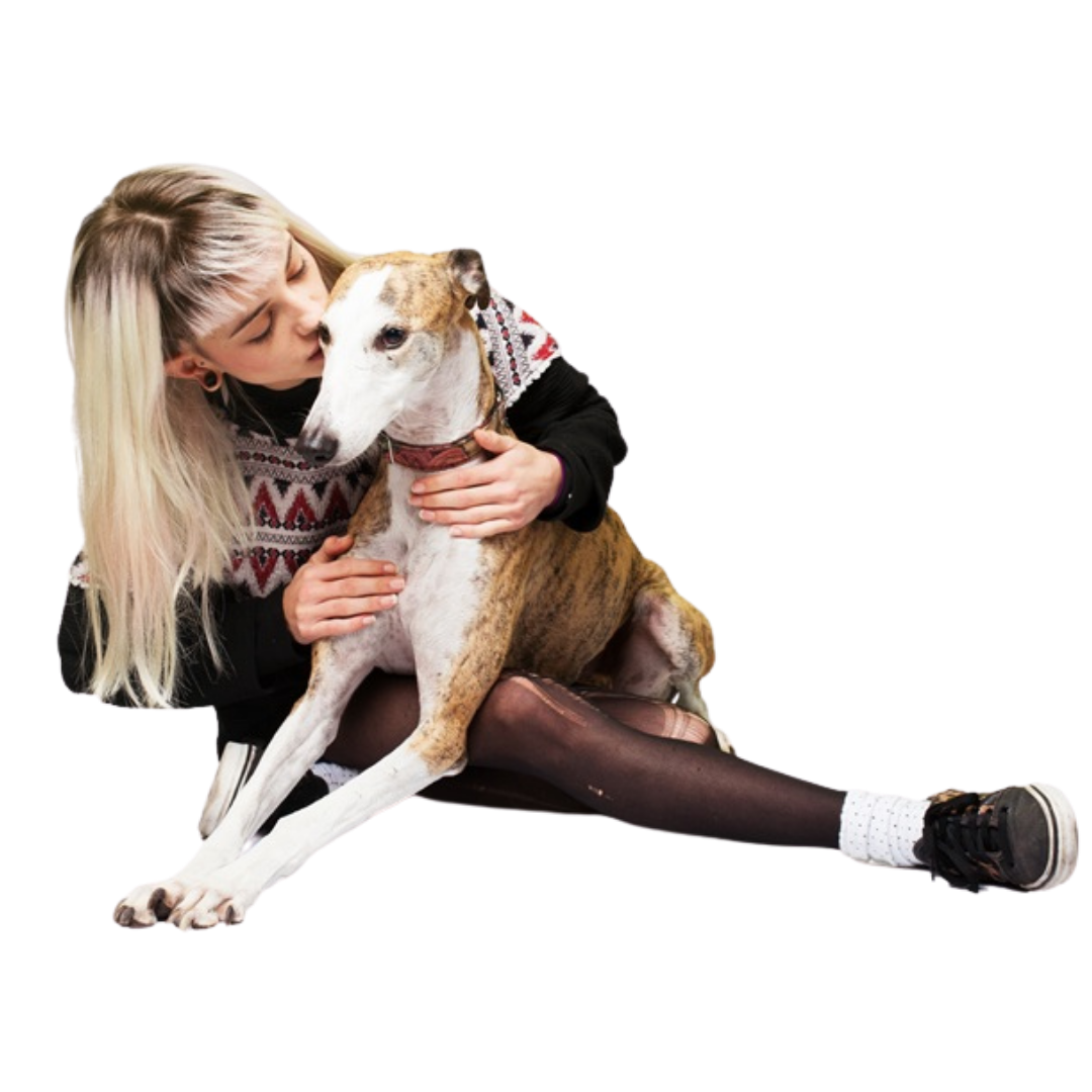 guia para tutores de perros o gatos sobre eutanasia a domicilio